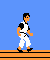 Kung Fu (NES)